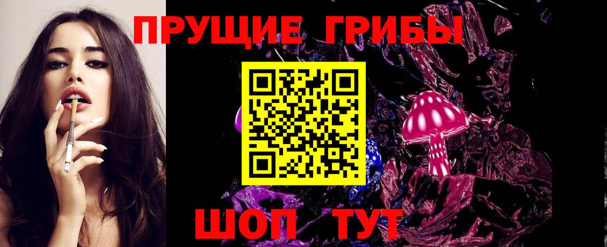 Псилоцибиновые грибы Psilocybine cubensis Верхняя Пышма